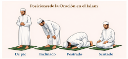 Posiciones de la oración islámica: de pie, inclinado, postrado y sentado para el Tashahhud con ambas manos sobre los muslos sobre una alfombra de oración verde